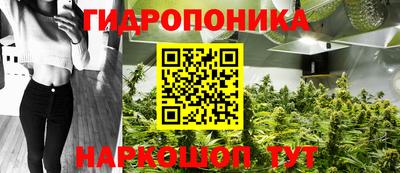 стафф Краснокаменск
